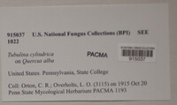 Image Associated With the Occurence